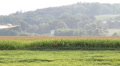 Crop duster laying down chemical