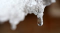 Drops from melting snow