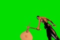 video clip 1073755