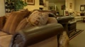 video clip 1092963