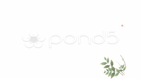 After Effects Project - Pond5 Organic postcard 1093602 After Effects Project - Pond5 Organic postcard 1093602