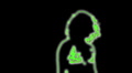 video clip 1100335