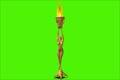 video clip 1103893