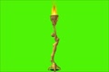 video clip 1103905