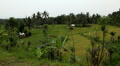 video clip 1106067