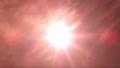 video clip 1216549