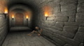 video clip 1216561