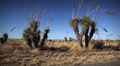 video clip 1228051