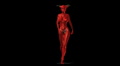 video clip 1239817