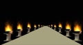 video clip 1643993