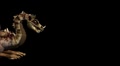 video clip 2222369