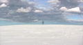 Lonely tree on wintertime Video