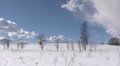 Winter landscape Video