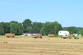 Farmer Square Baling Hay 02 Video