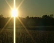 video clip 2453073