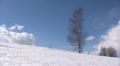 Winter timelapse Video