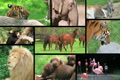 video clip 2534125