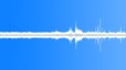 Birds Garden Atmosphere 000 Sound Effect