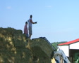 video clip 2565435