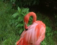 video clip 2565473