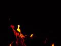video clip 2664603