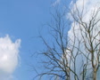 video clip 2664967