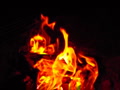 video clip 2666491