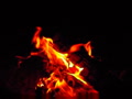 video clip 2666511