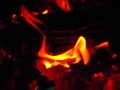 video clip 2667073