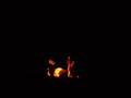 video clip 2667097