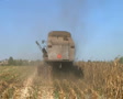 video clip 2692747