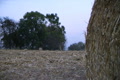 video clip 2769905