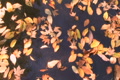 video clip 2801187