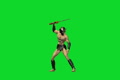 video clip 2923269