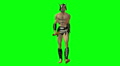video clip 2954327