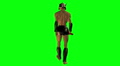 video clip 2975979