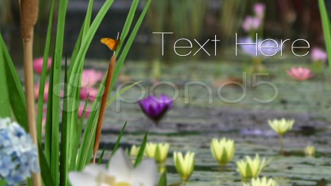 After Effects Project - Pond5 Stylish Nature Scenes 2978030 After Effects Project - Pond5 Stylish Nature Scenes 2978030