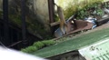video clip 3175129