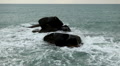 video clip 3176137