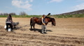 video clip 4179267