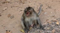video clip 4280033