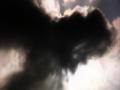 video clip 4884845