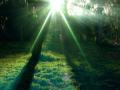 video clip 4884873