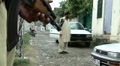 video clip 4905297