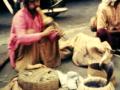video clip 4920651