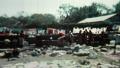 video clip 5036721