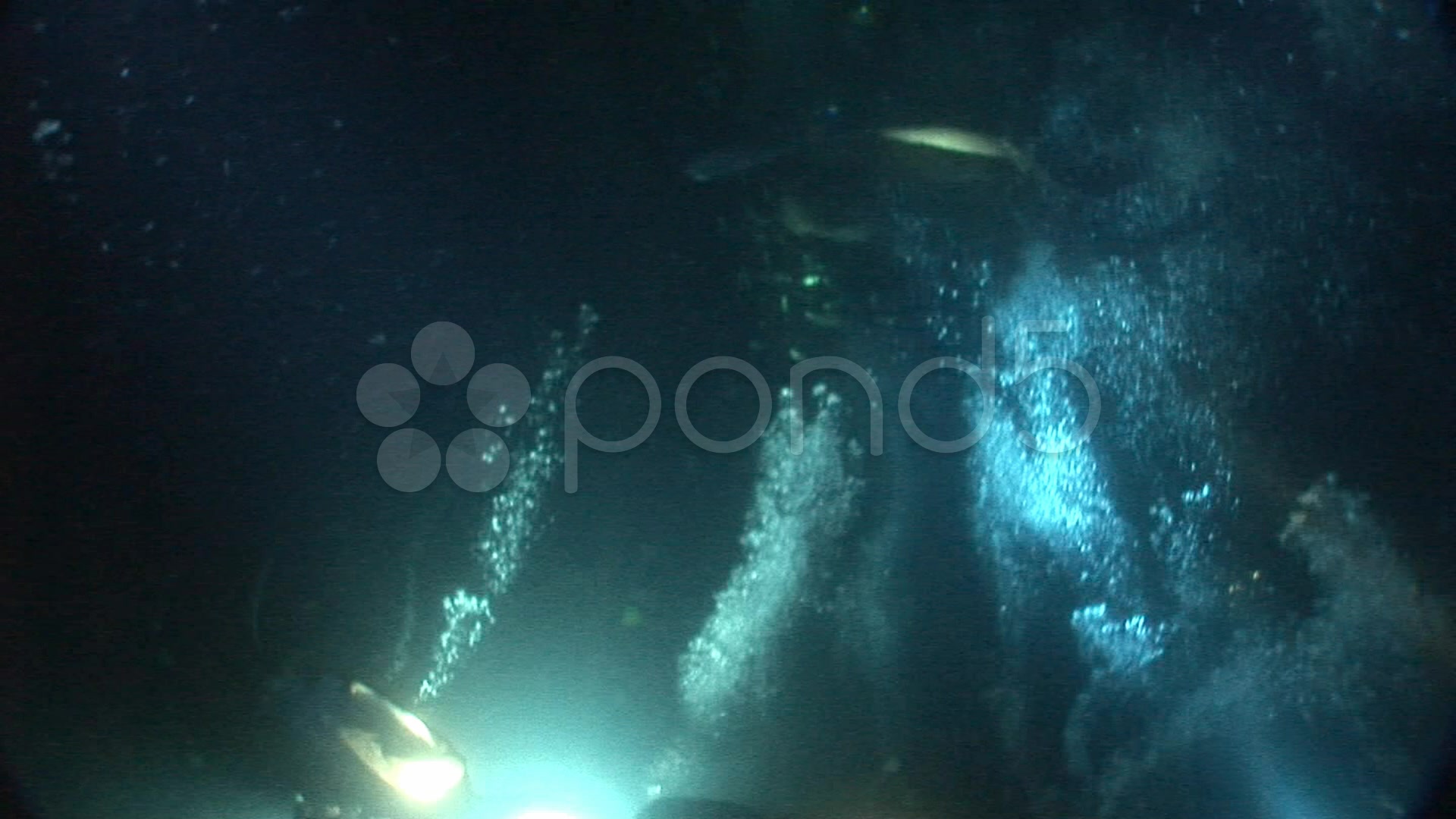 Divers Underwater At Night Stock Footage 5254067 Pond5