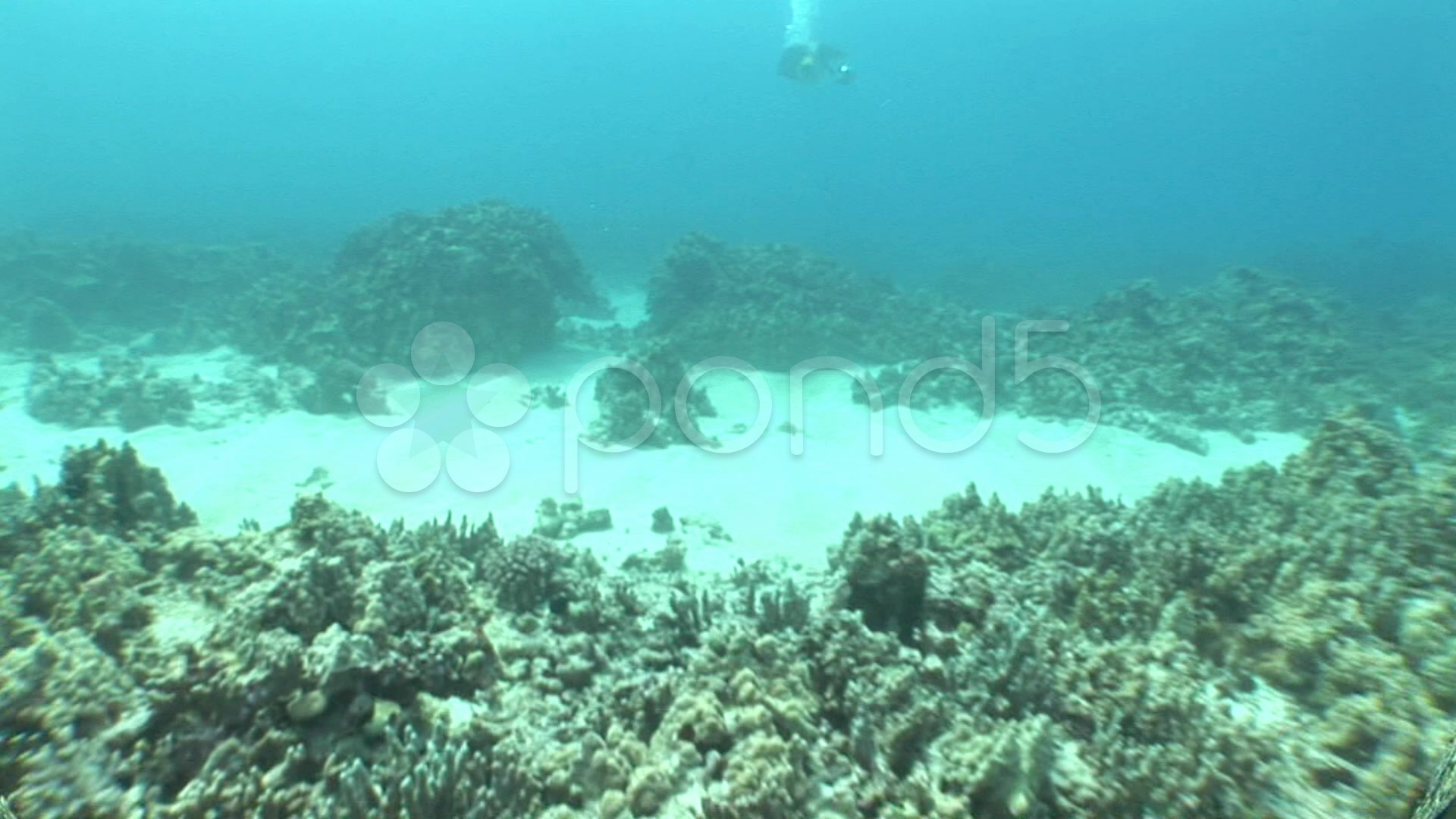 Ocean+Floor+Model+Project+Ideas Pics Photos - Ocean Floor Model Project Ideas Submited Images Pic2fly