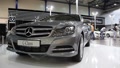 video clip 5503389