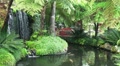 Koi Pond 20110422 153035 Video